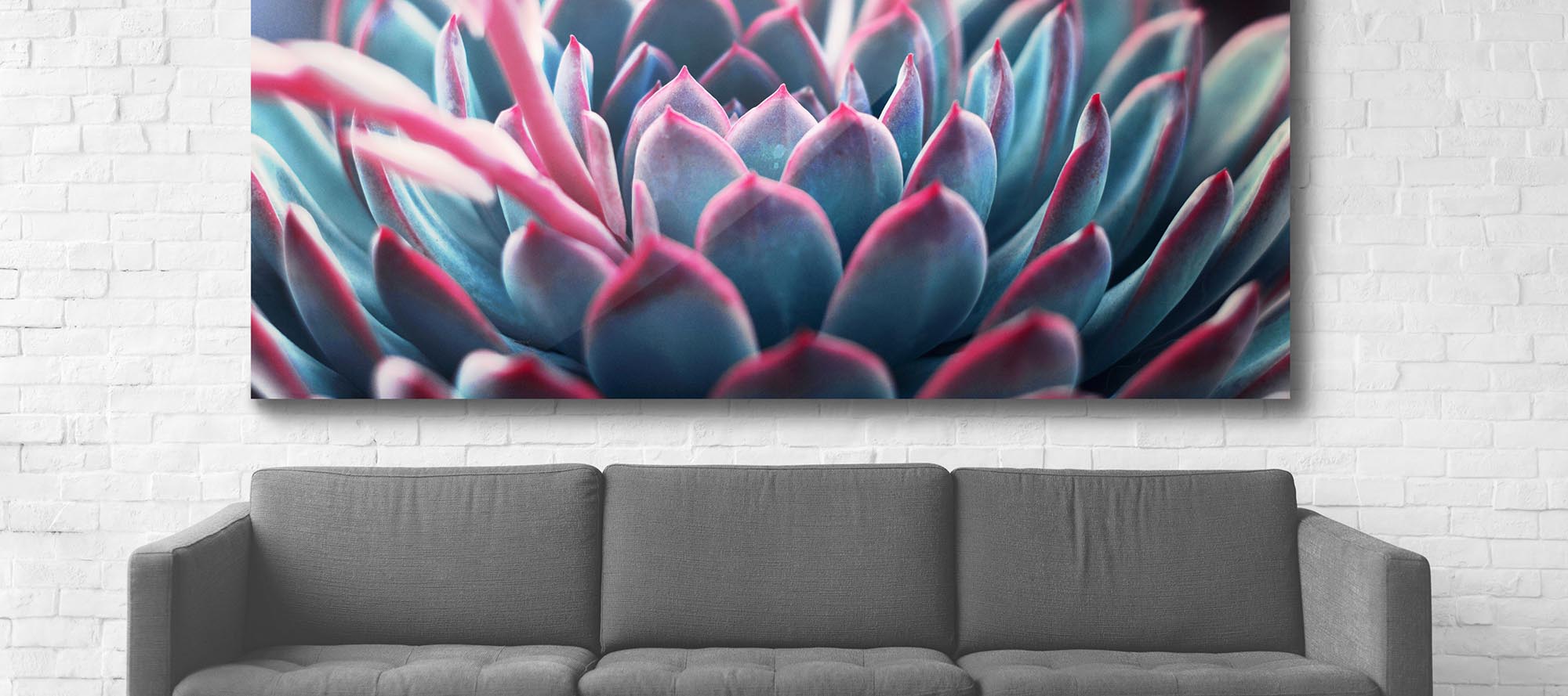 Professional Digital Photo Printing in Montreal Photolab Yves Thomas